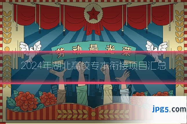 2024年湖北高校专本衔接项目汇总