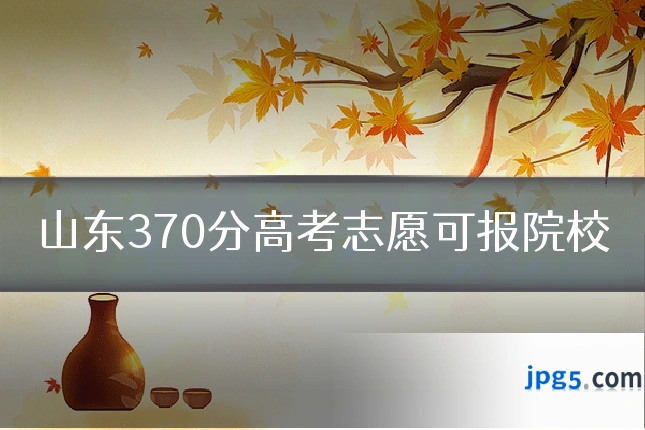 山东370分高考志愿可报院校
