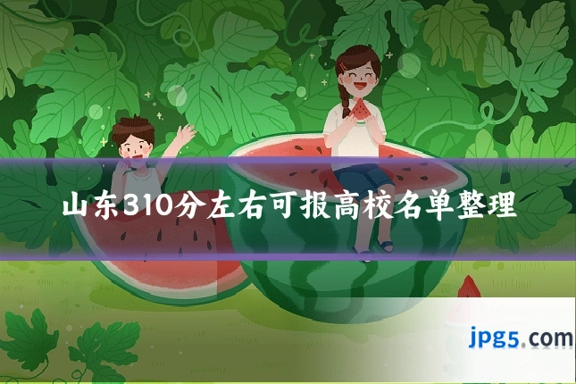 山东310分左右可报高校名单整理
