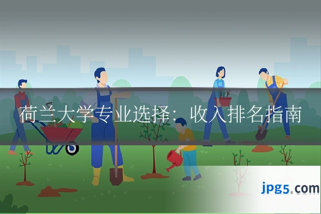 荷兰大学专业选择：收入排名指南