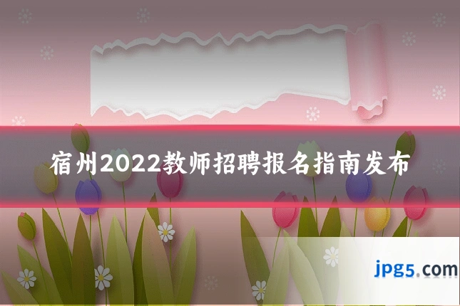 宿州2022教师招聘报名指南发布
