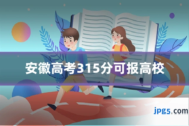 安徽高考315分可报高校