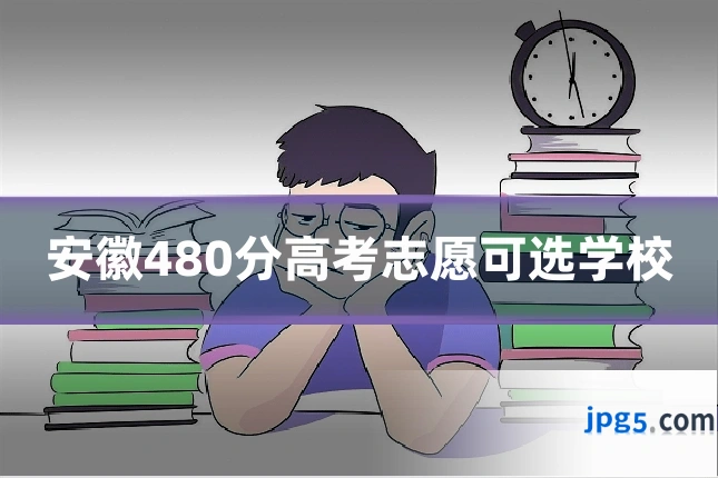 安徽480分高考志愿可选学校