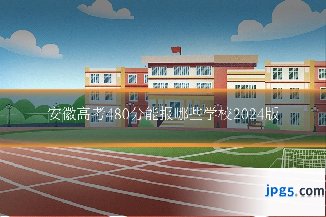 安徽高考480分能报哪些学校2024版