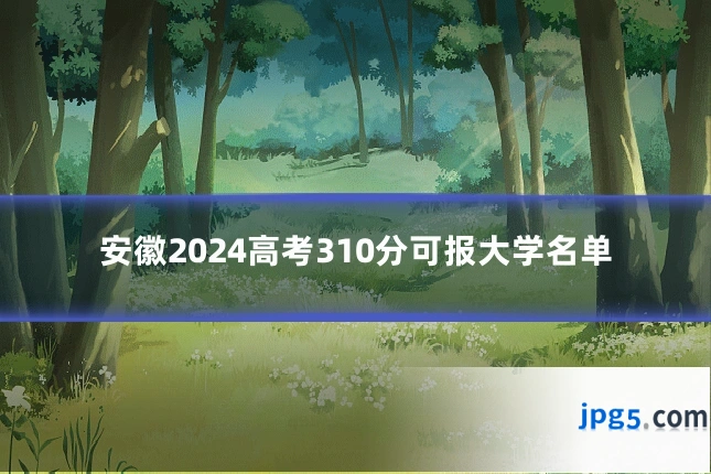 安徽2024高考310分可报大学名单