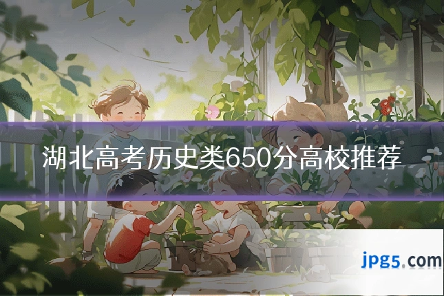 湖北高考历史类650分高校推荐