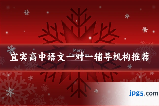 宜宾高中语文一对一辅导机构推荐
