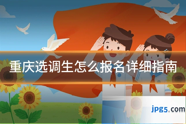 重庆选调生怎么报名详细指南