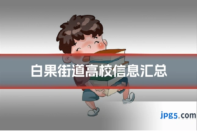 白果街道高校信息汇总