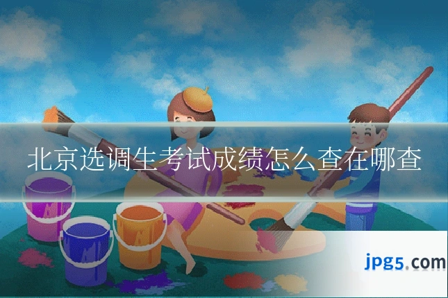 北京选调生考试成绩怎么查在哪查