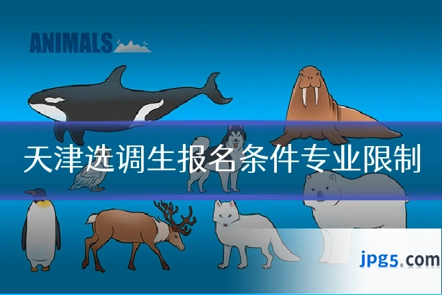 天津选调生报名条件专业限制