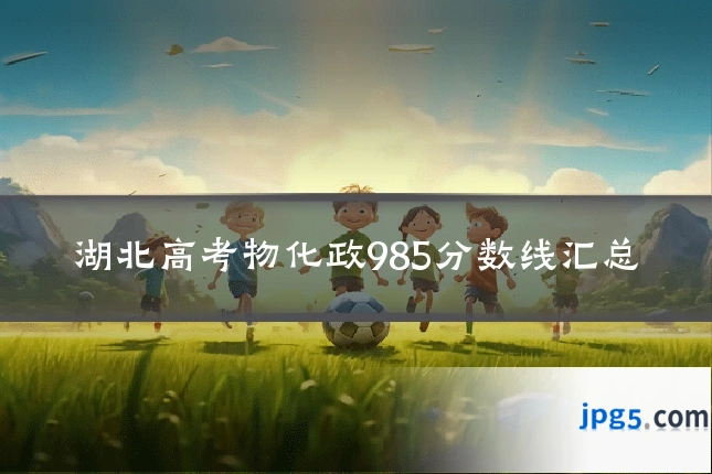 湖北高考物化政985分数线汇总