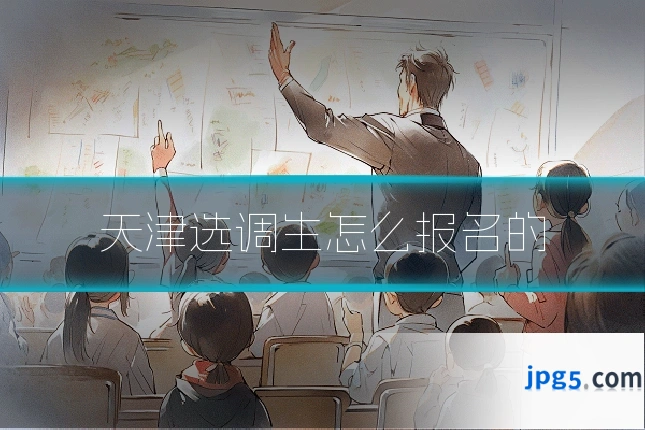 天津选调生怎么报名的