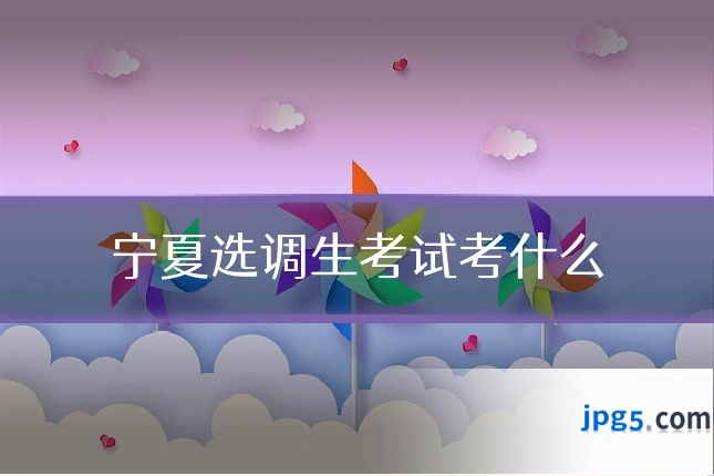 宁夏选调生考试考什么