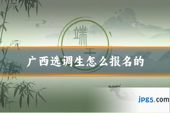 广西选调生怎么报名的