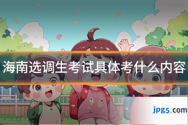 海南选调生考试具体考什么内容