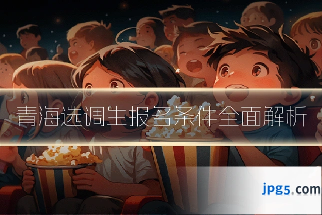 青海选调生报名条件全面解析