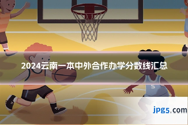 2024云南一本中外合作办学分数线汇总