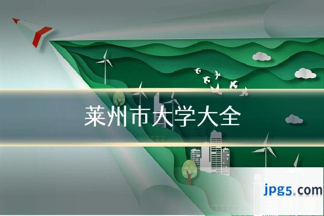 莱州市大学大全