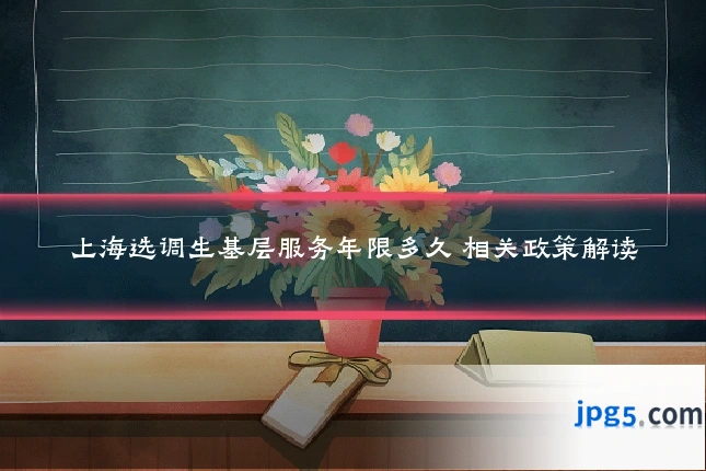 上海选调生基层服务年限多久 相关政策解读