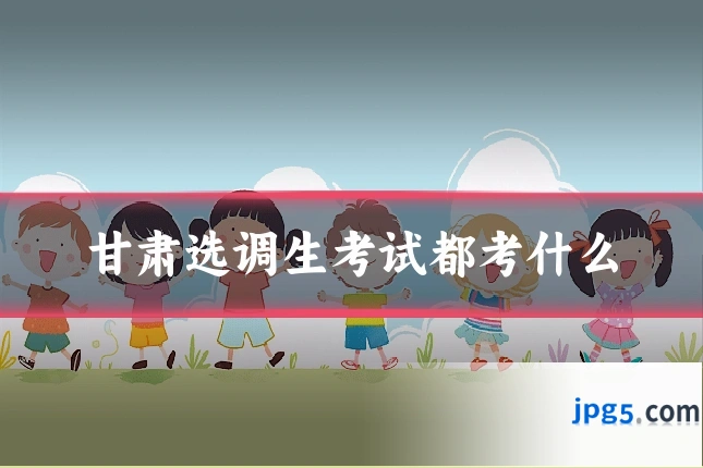 甘肃选调生考试都考什么