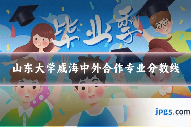 山东大学威海中外合作专业分数线