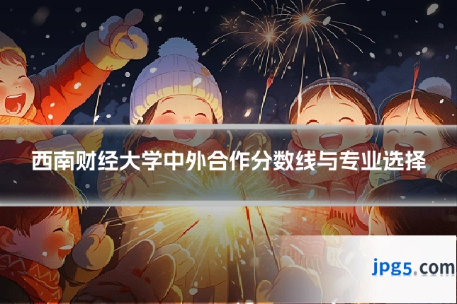 西南财经大学中外合作分数线与专业选择