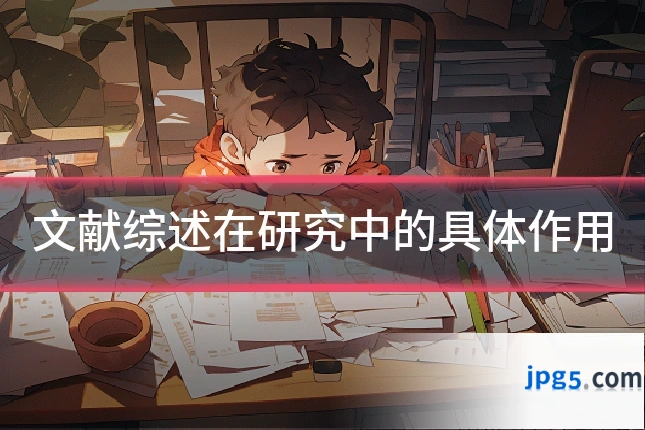 文献综述在研究中的具体作用