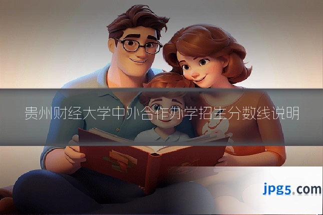 贵州财经大学中外合作办学招生分数线说明