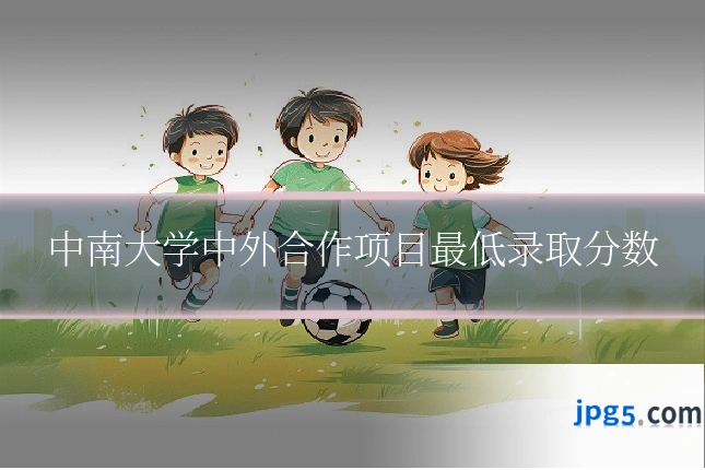 中南大学中外合作项目最低录取分数