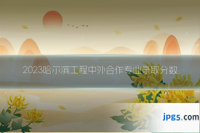 2023哈尔滨工程中外合作专业录取分数