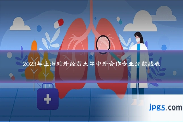 2023年上海对外经贸大学中外合作专业分数线表