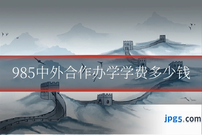 985中外合作办学学费多少钱