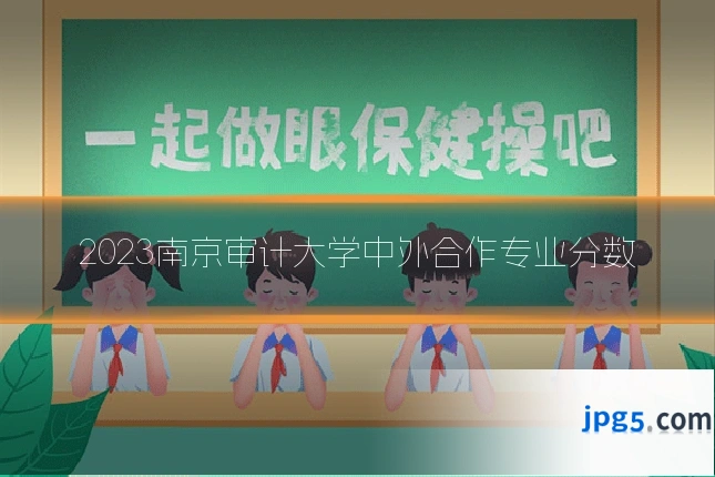 2023南京审计大学中外合作专业分数