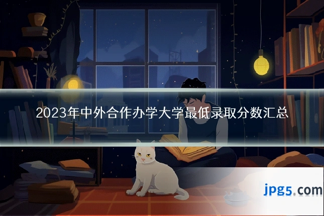 2023年中外合作办学大学最低录取分数汇总