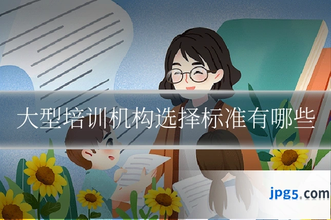 大型培训机构选择标准有哪些