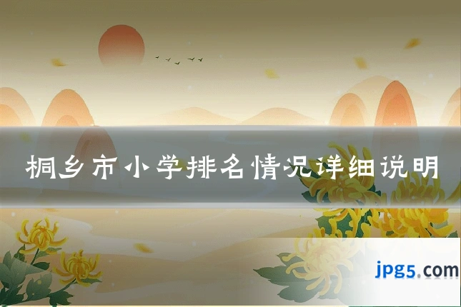 桐乡市小学排名情况详细说明
