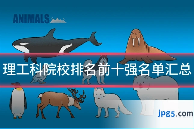 理工科院校排名前十强名单汇总