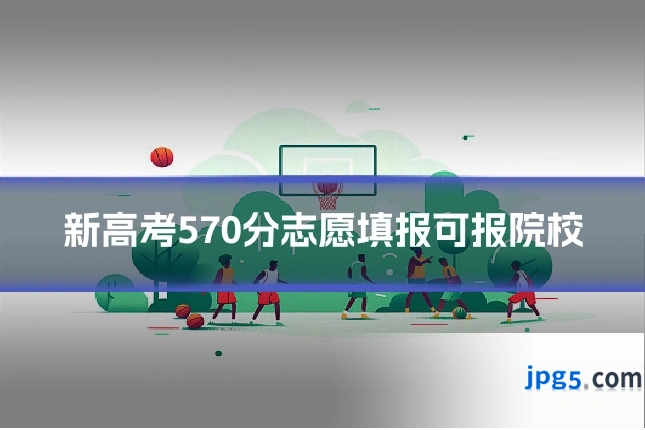 新高考570分志愿填报可报院校