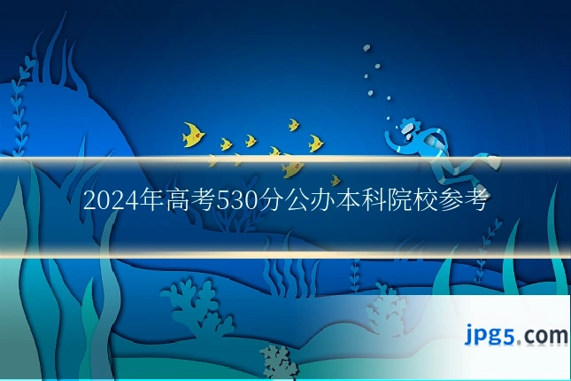 2024年高考530分公办本科院校参考