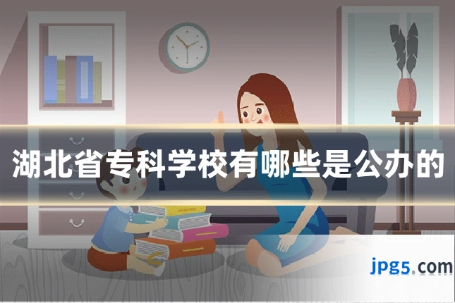 湖北省专科学校有哪些是公办的