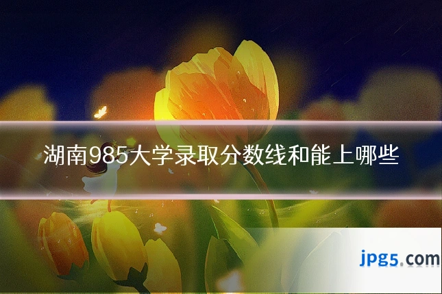 湖南985大学录取分数线和能上哪些