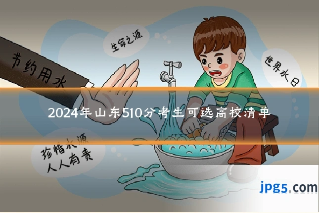 2024年山东510分考生可选高校清单
