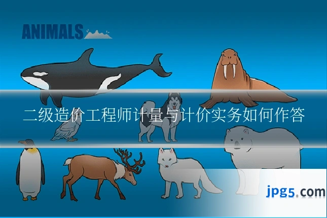 二级造价工程师计量与计价实务如何作答
