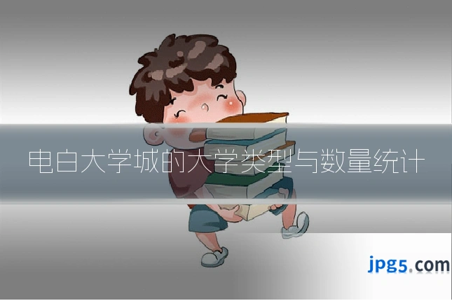 电白大学城的大学类型与数量统计