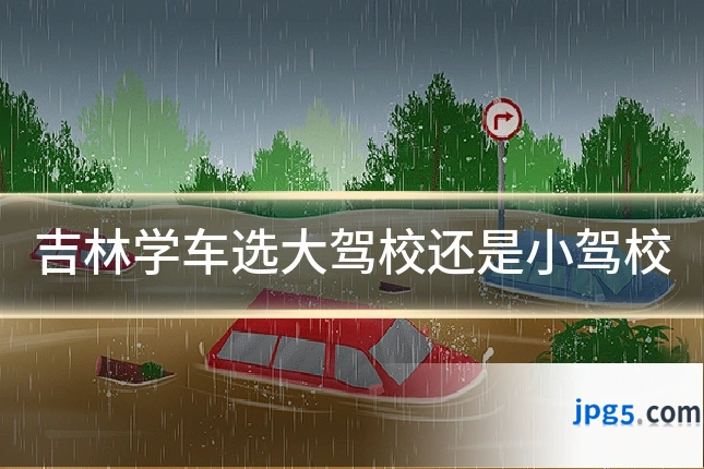 吉林学车选大驾校还是小驾校