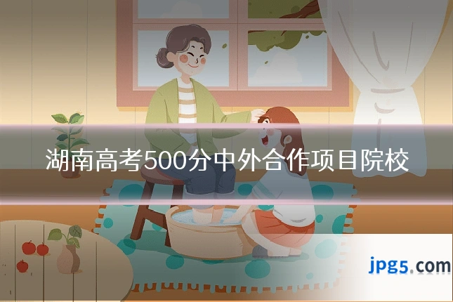 湖南高考500分中外合作项目院校