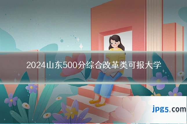2024山东500分综合改革类可报大学