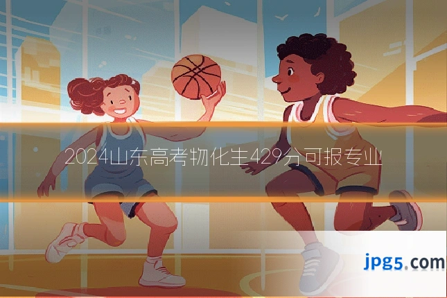 2024山东高考物化生429分可报专业