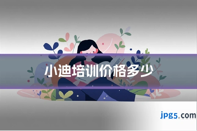 小迪培训价格多少